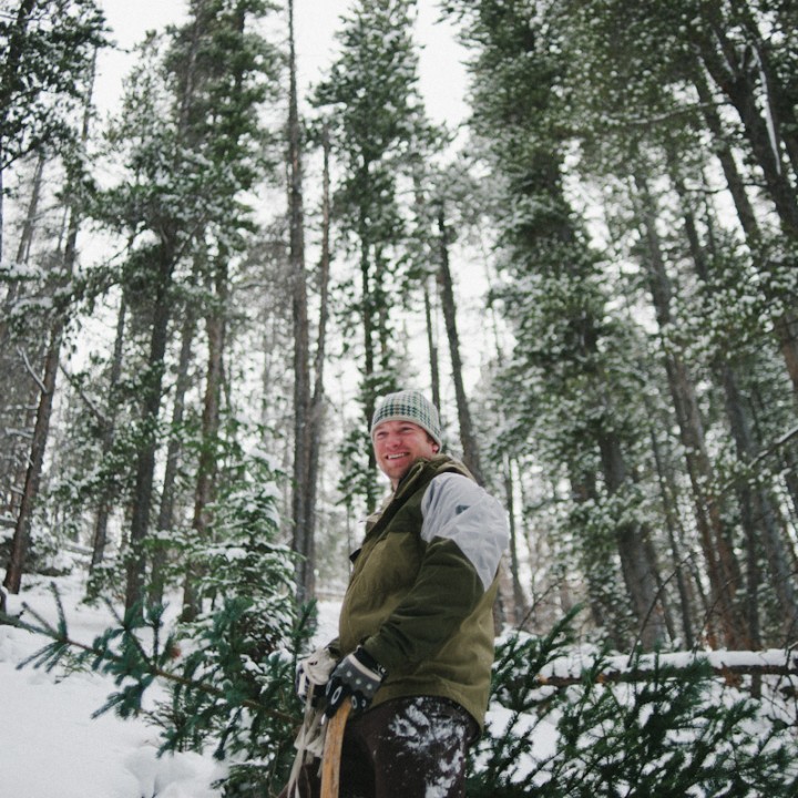 The Perfect Christmas Tree