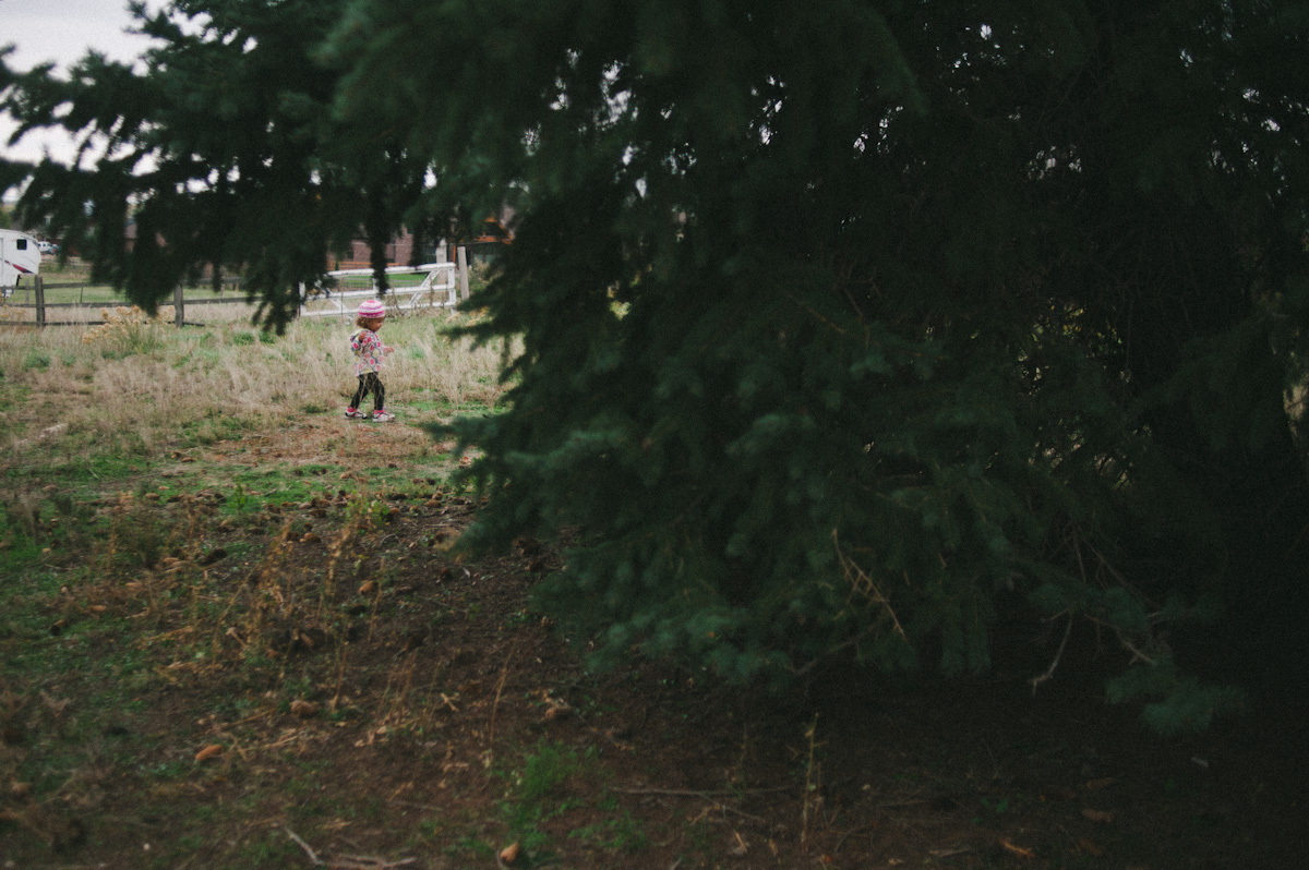 Family photographer-056