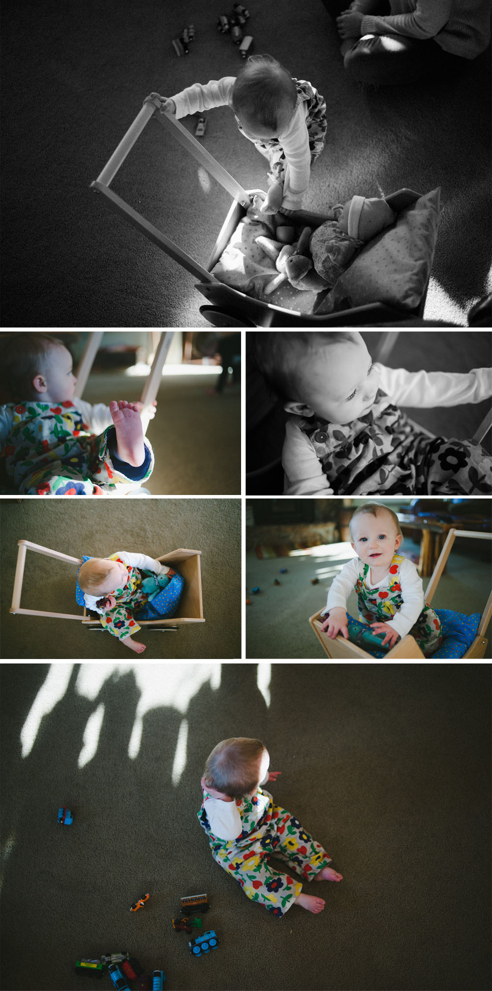 Ft. Collins family photographer-03