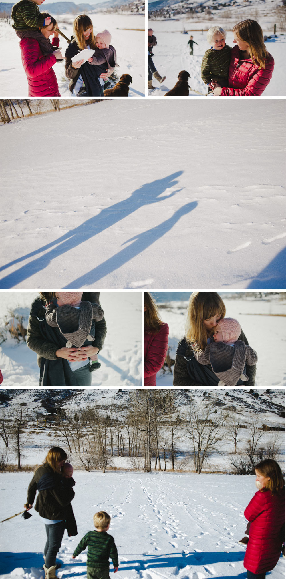 Ft. Collins family photographer-10