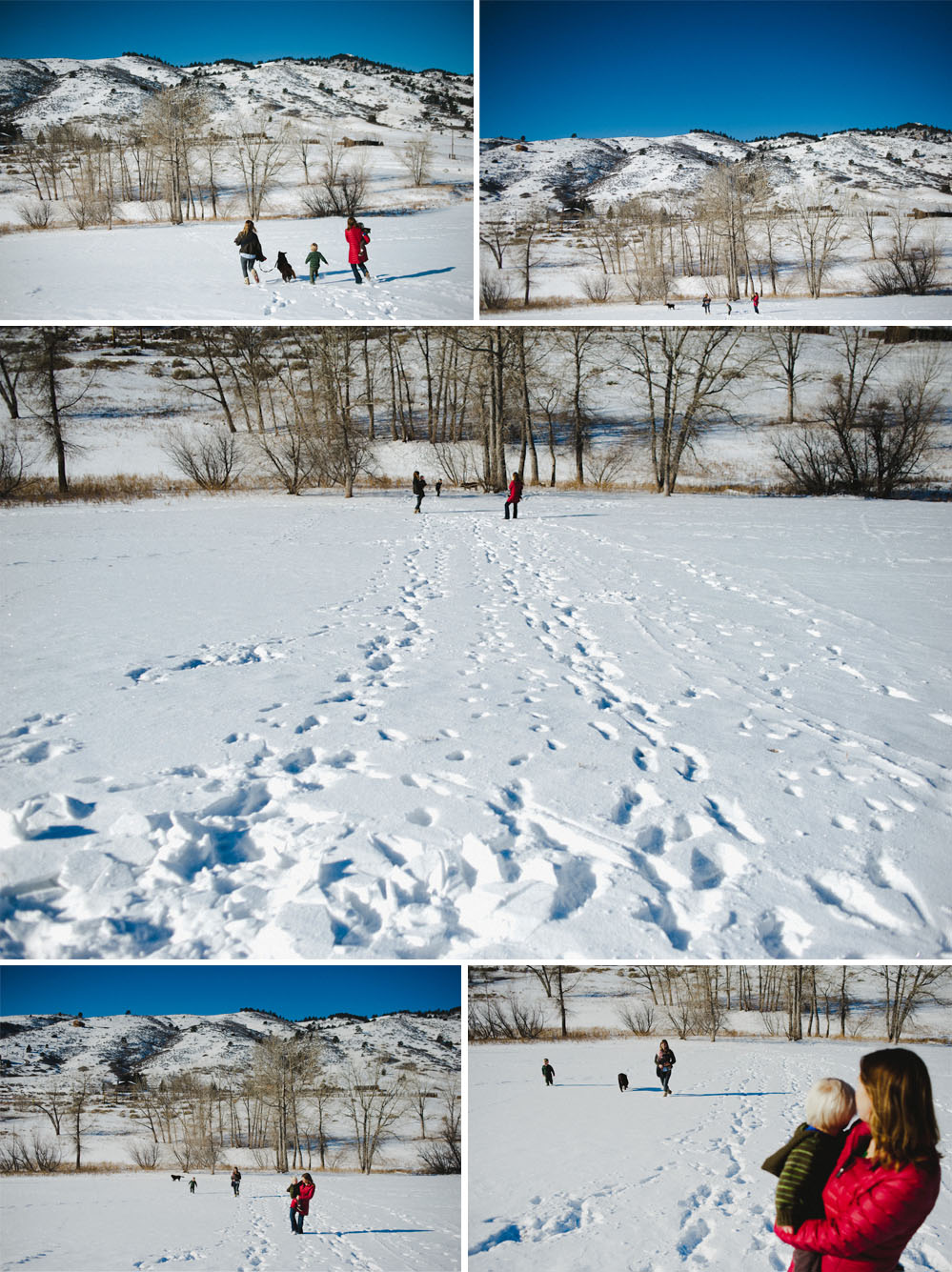Ft. Collins family photographer-11
