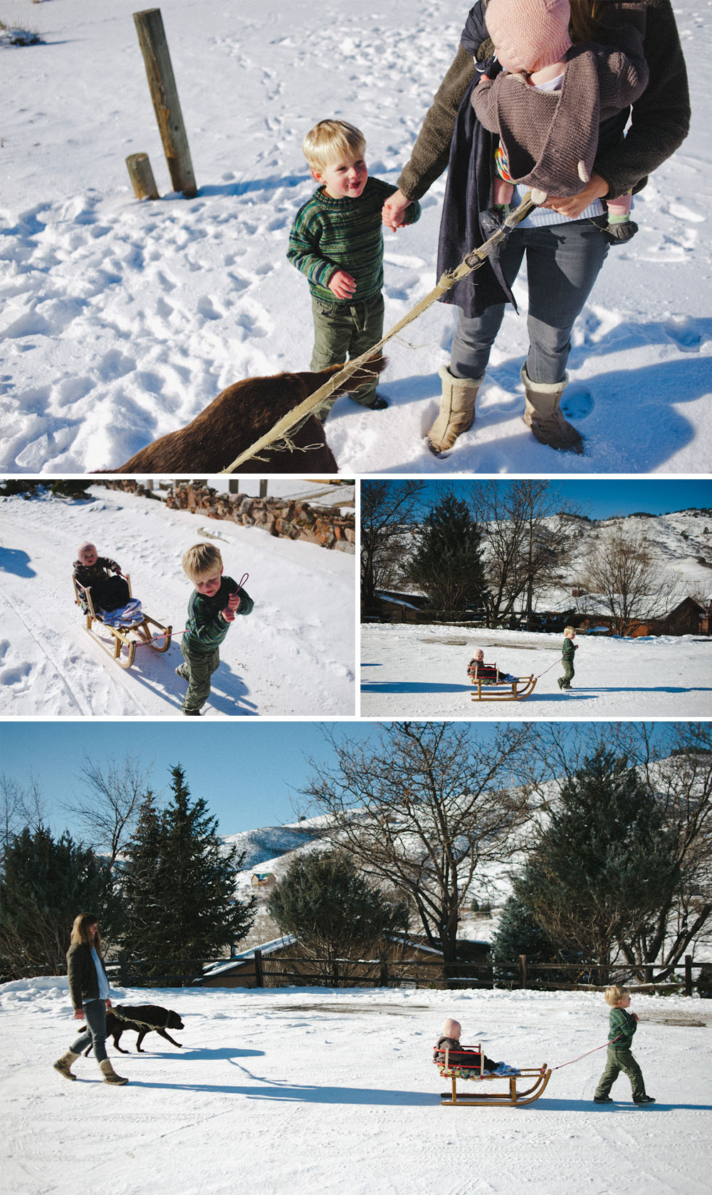 Ft. Collins family photographer-12