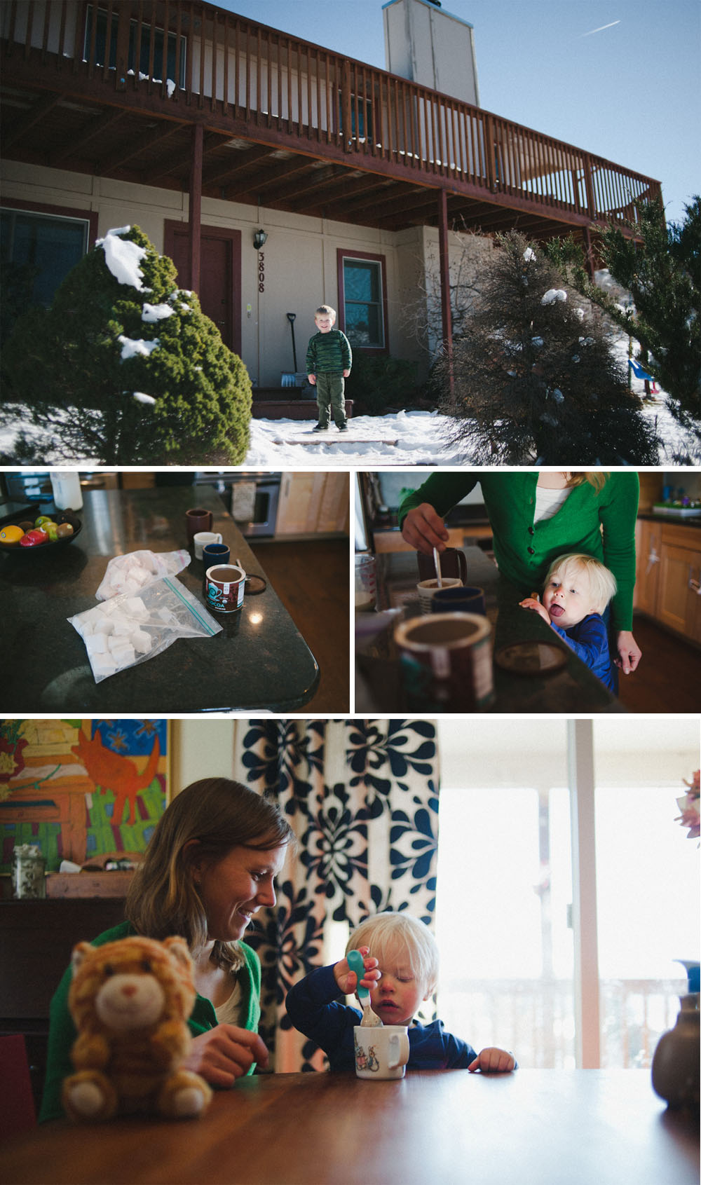 Ft. Collins family photographer-13