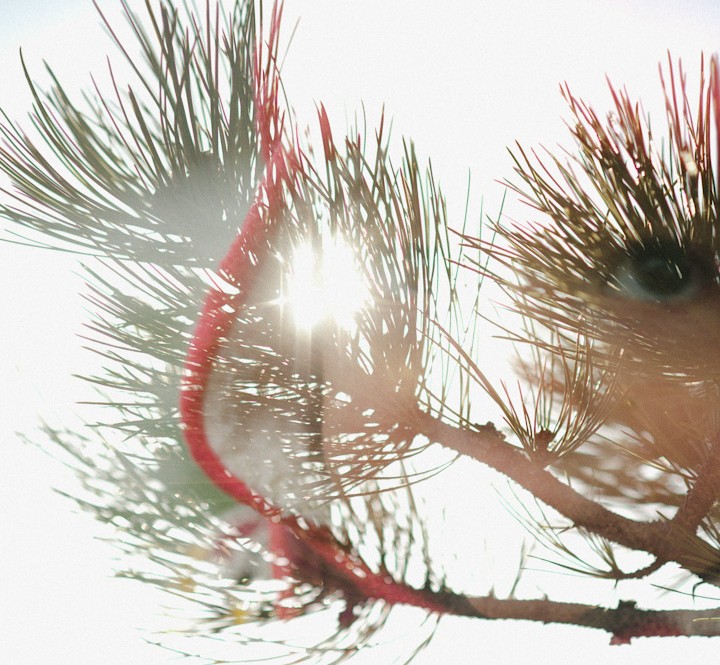 Relax and Lighten Up.