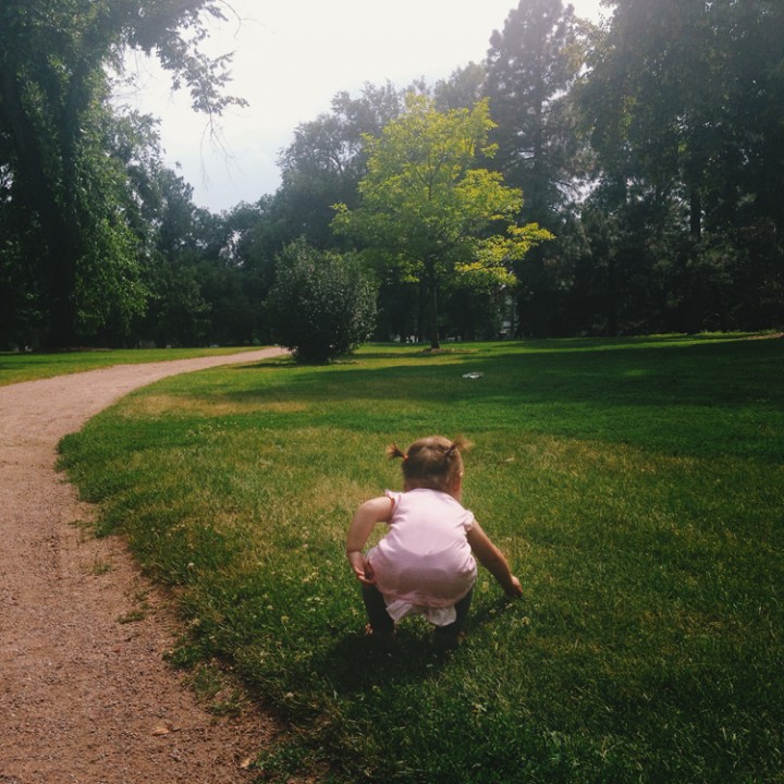 The Lonely Patch of Clover Flowers