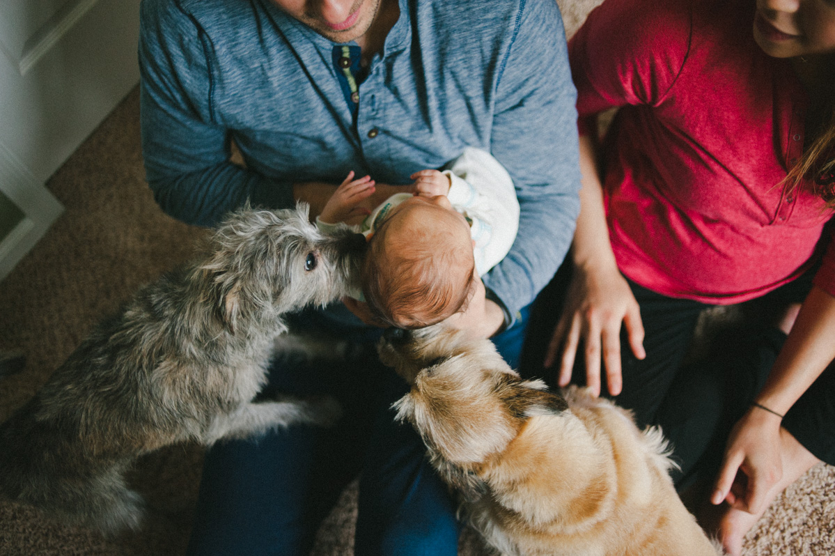 denver newborn photographer-029