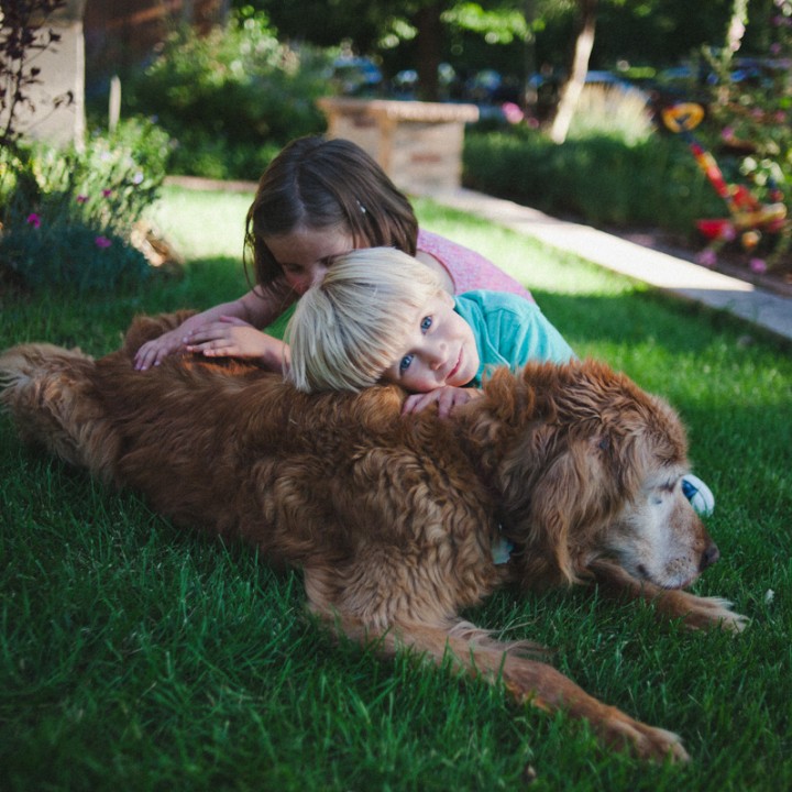 Denver Family Photographer, Harrington Family