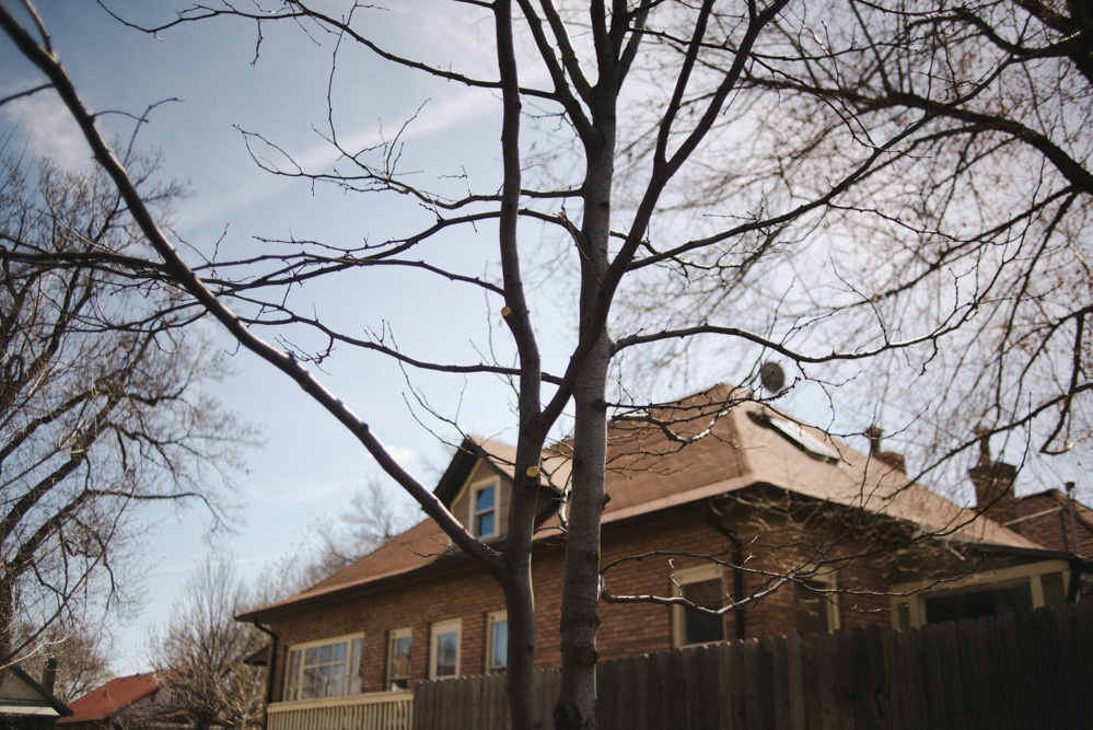 Denver family photographer-17